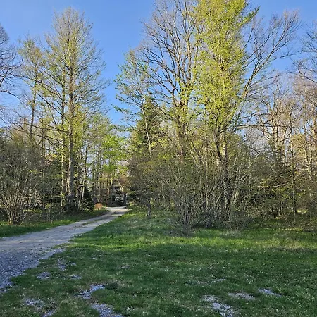 Koliba Japa Дом отдыха *