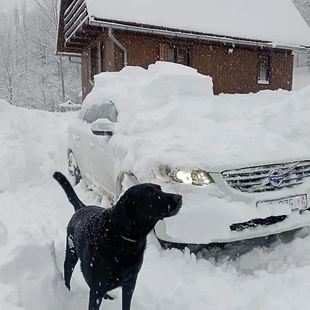 Semesterbostad Koliba Japa Delnice