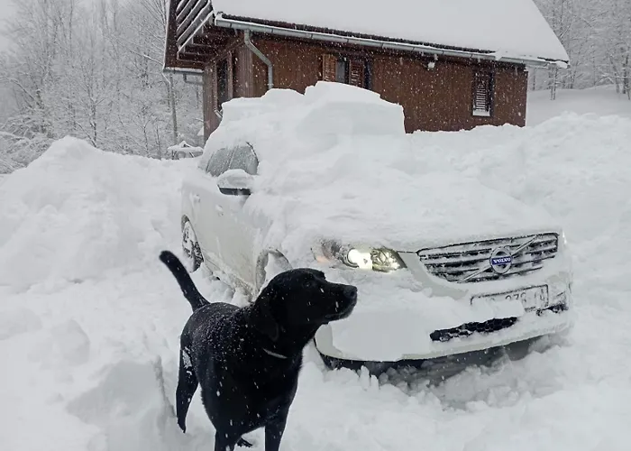 Vikendica Koliba Japa Delnice